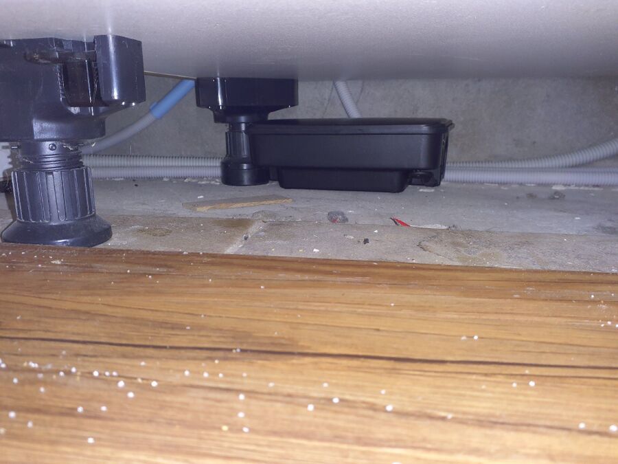 rat-fighting-rat-repelling