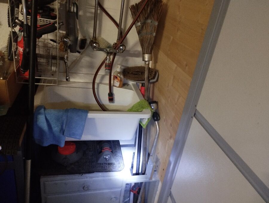 rat-fighting-rat-repelling