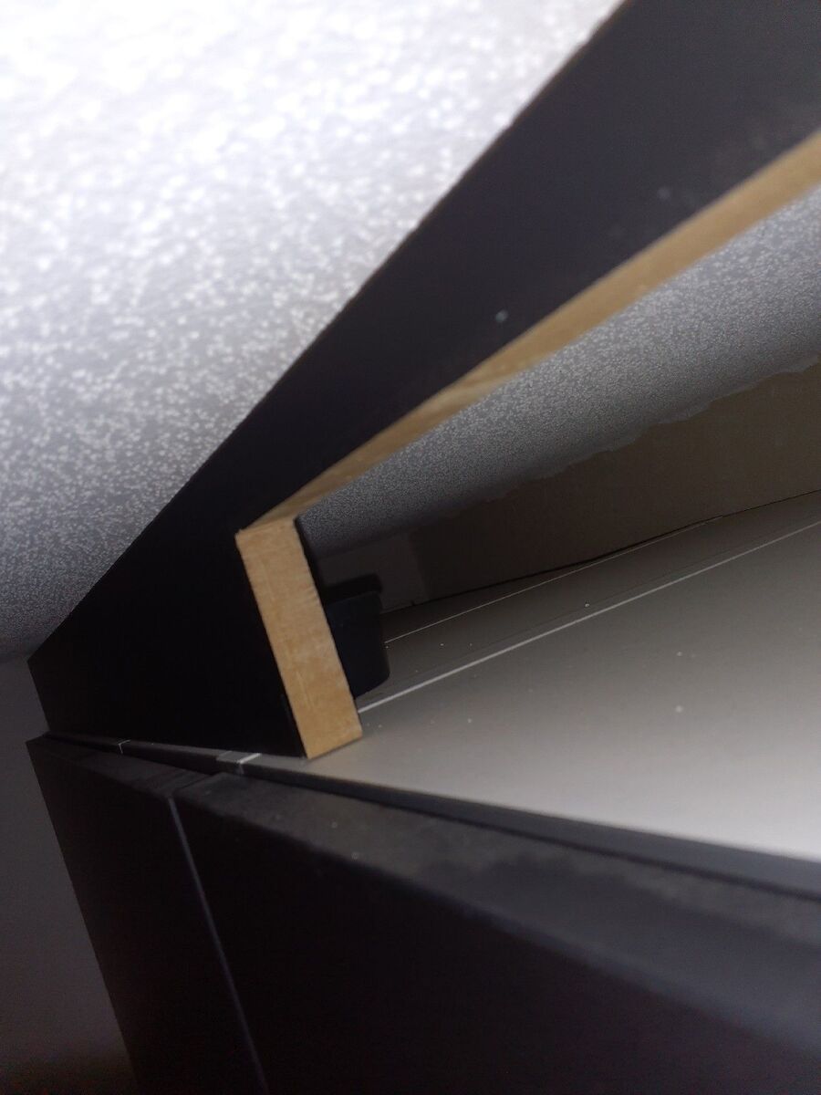 rat-fighting-rat-repelling