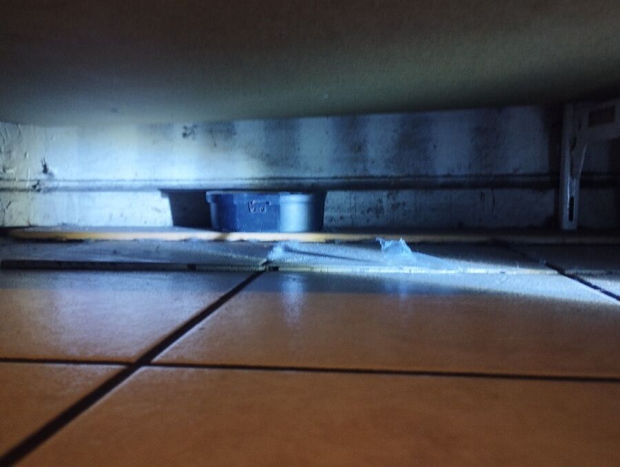 rat-fighting-rat-repelling