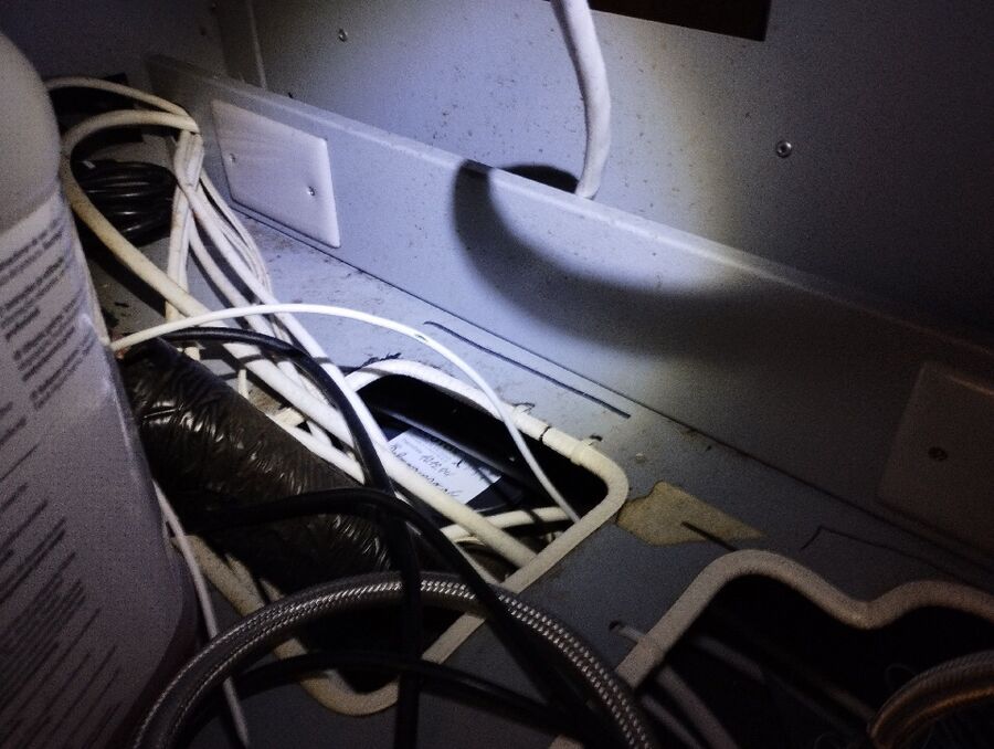 rat-fighting-rat-repelling