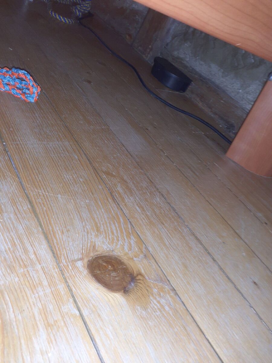 rat-fighting-rat-repelling