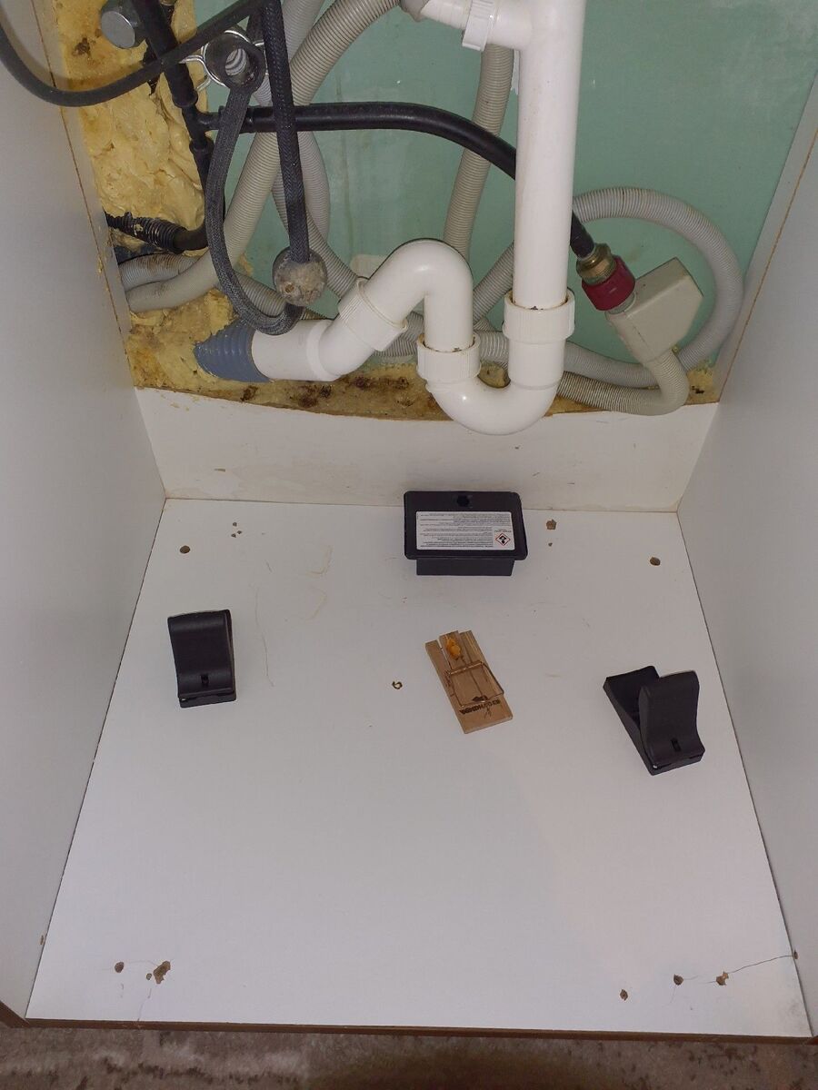 rat-fighting-rat-repelling