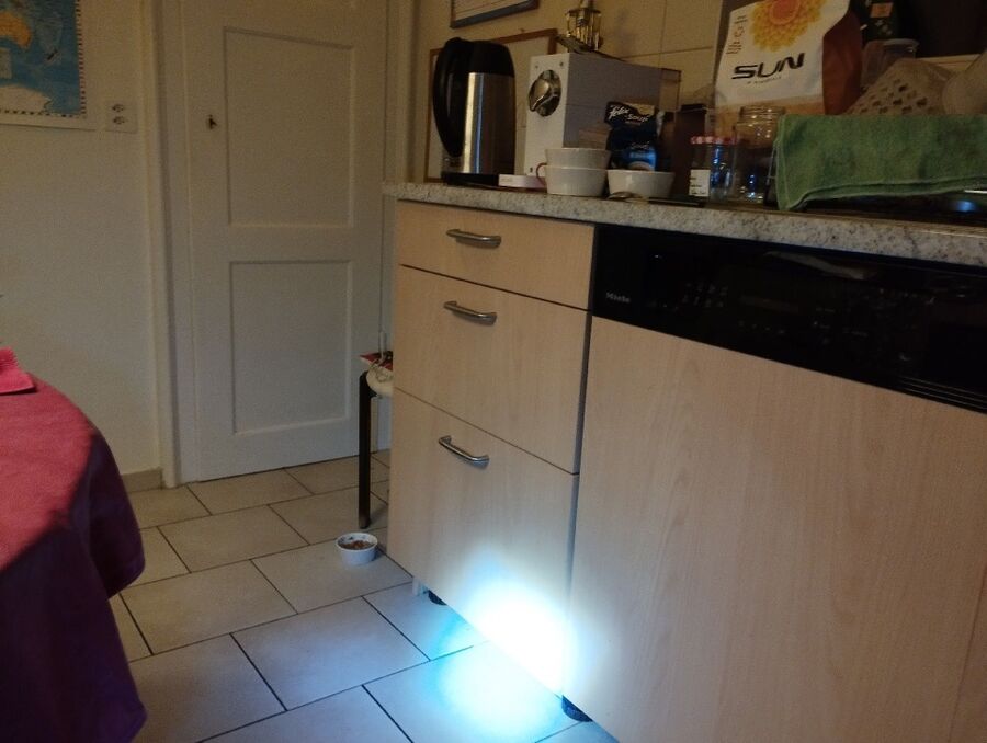 rat-fighting-rat-repelling