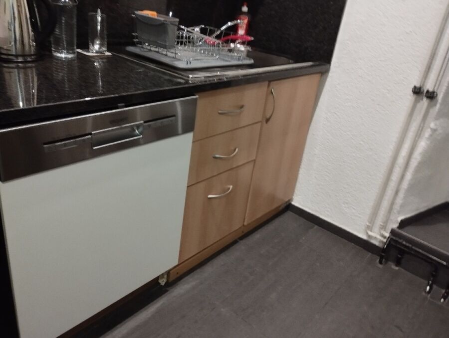 rat-fighting-rat-repelling