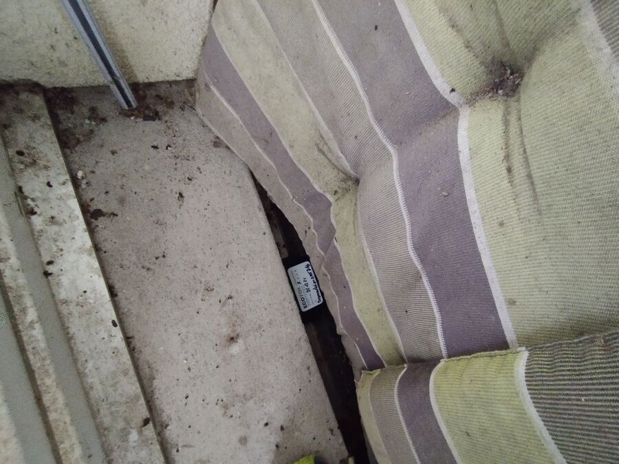 rat-fighting-rat-repelling