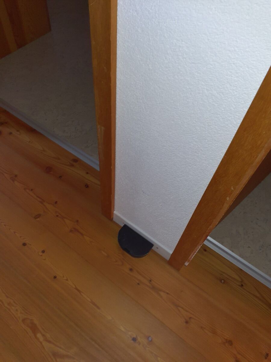 rat-rodent (3669).jpeg