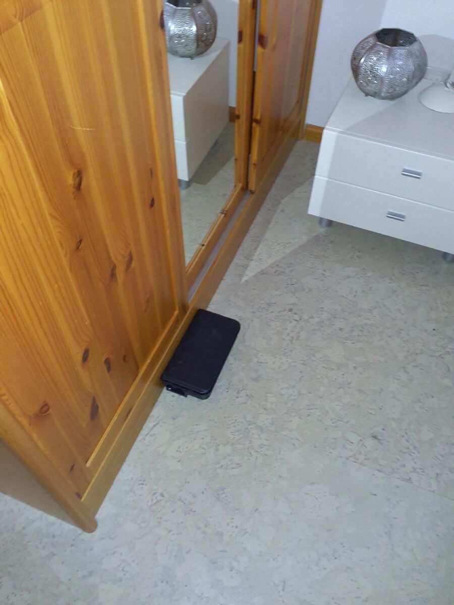 rat-rodent (3670).jpeg