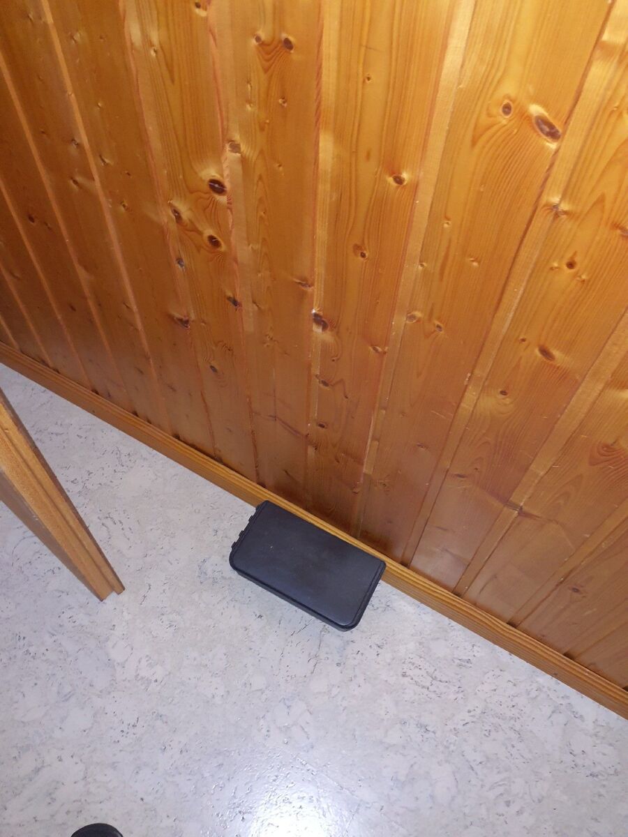 rat-rodent (3671).jpeg