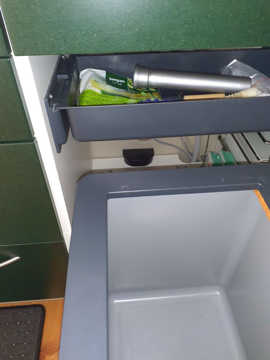 rat-rodent (3672).jpeg