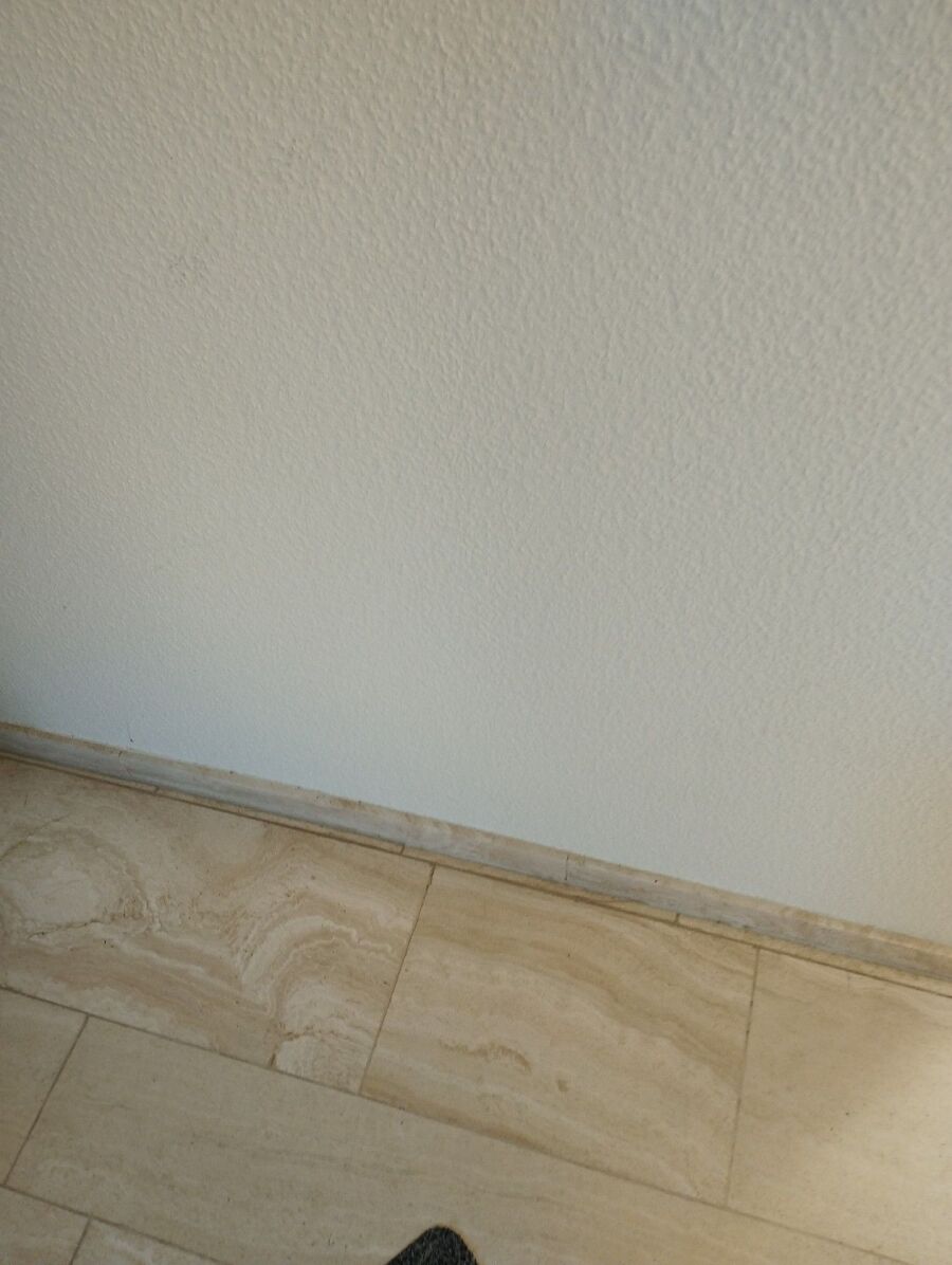 rat-fighting-rat-repelling