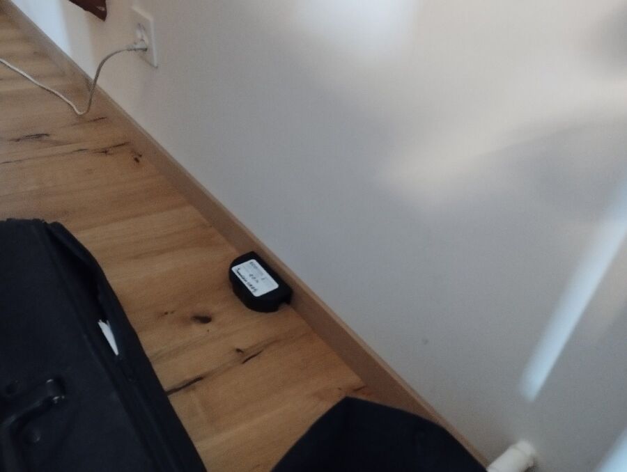 rat-fighting-rat-repelling