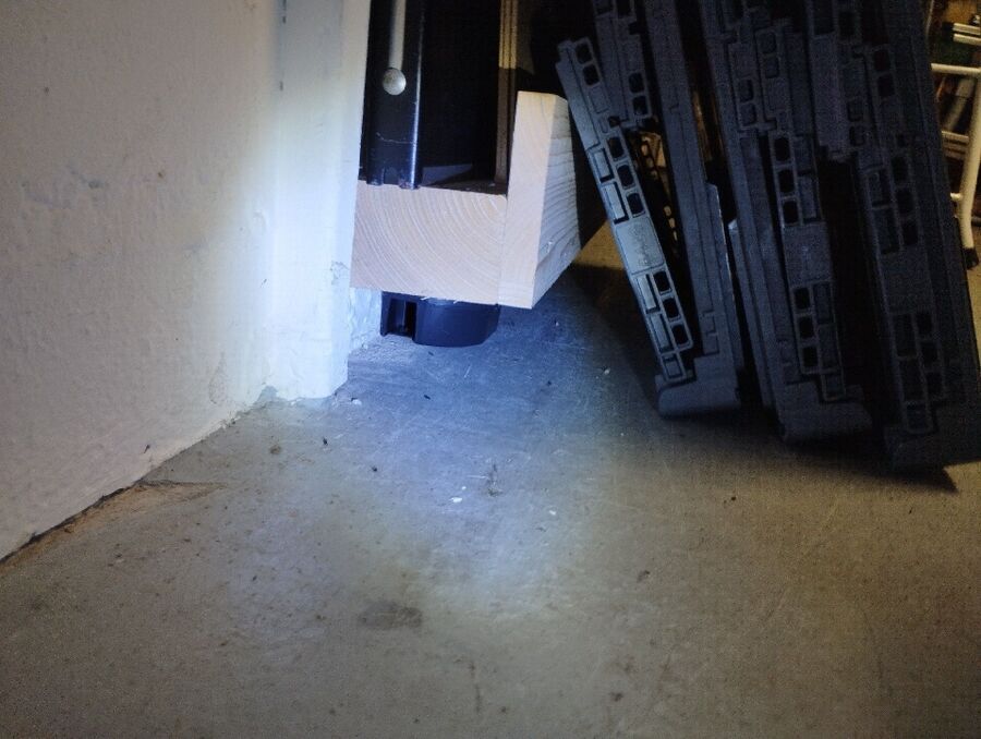 rat-fighting-rat-repelling