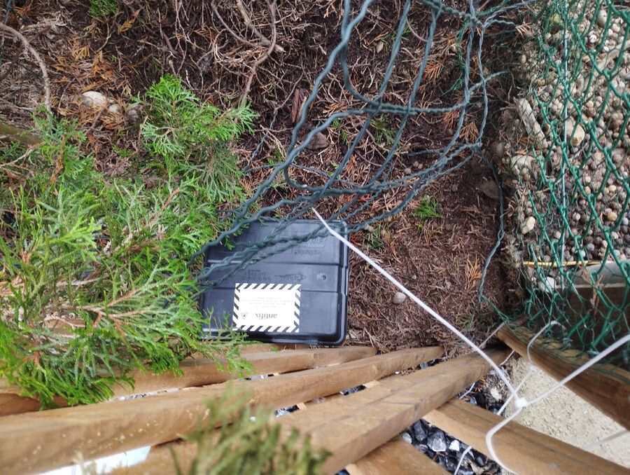 rat-fighting-rat-repelling