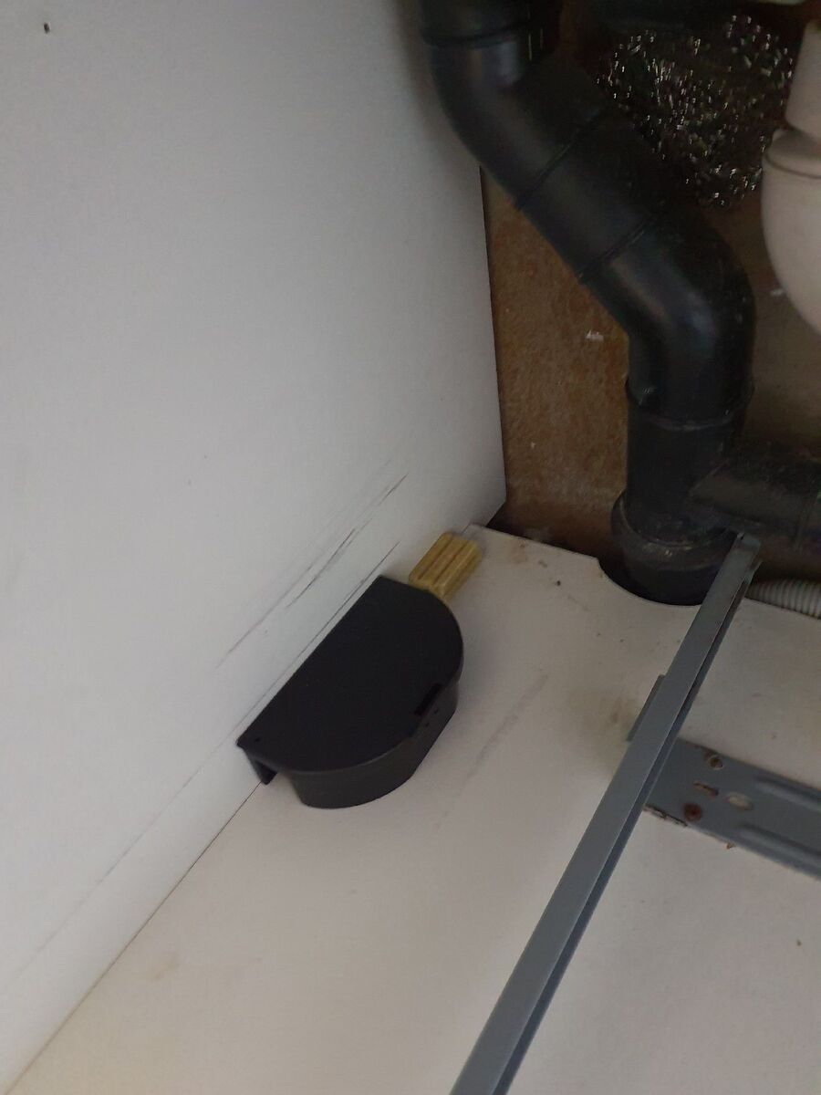 rat-fighting-rat-repelling