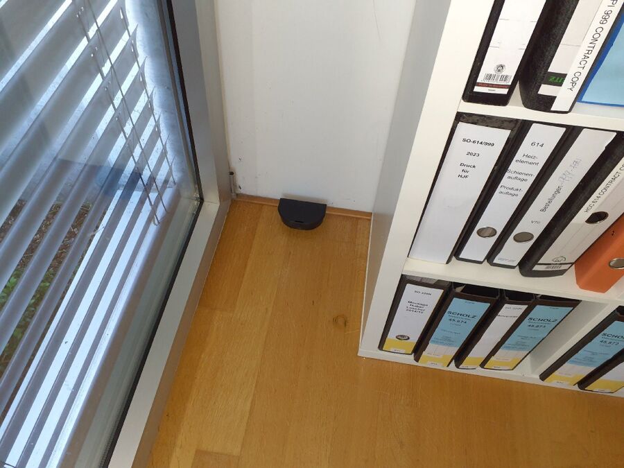 rat-rodent (4406).jpeg