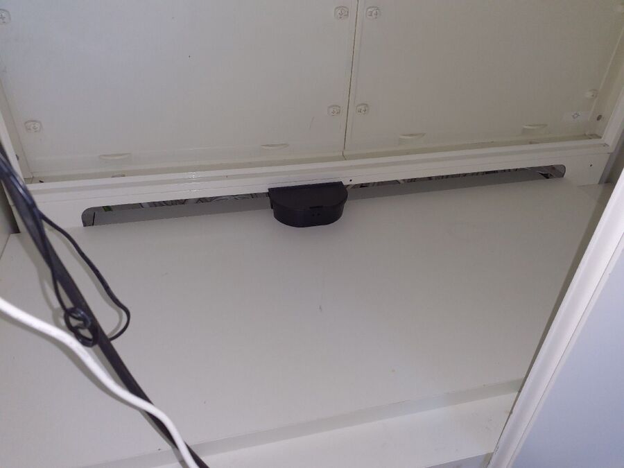 rat-rodent (4407).jpeg