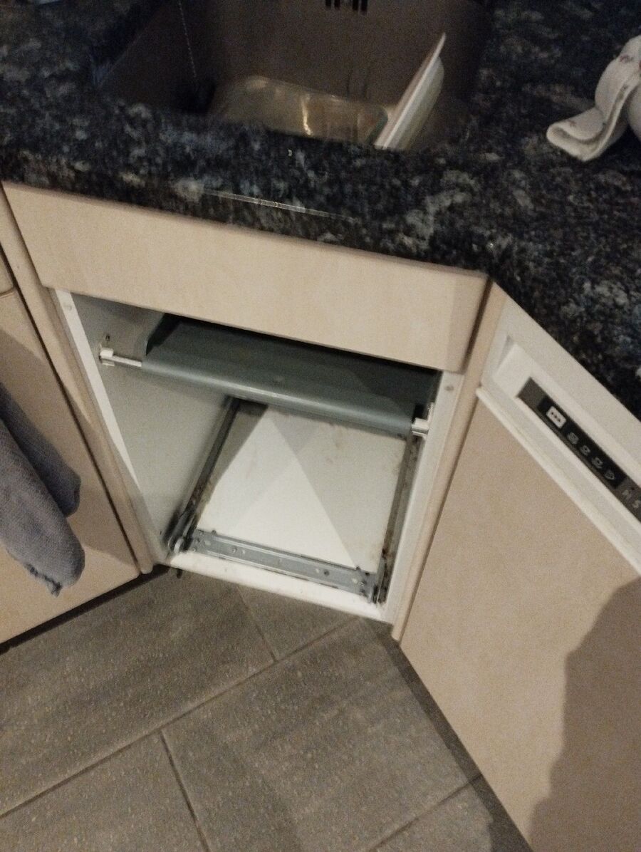 rat-rodent (4442).jpeg