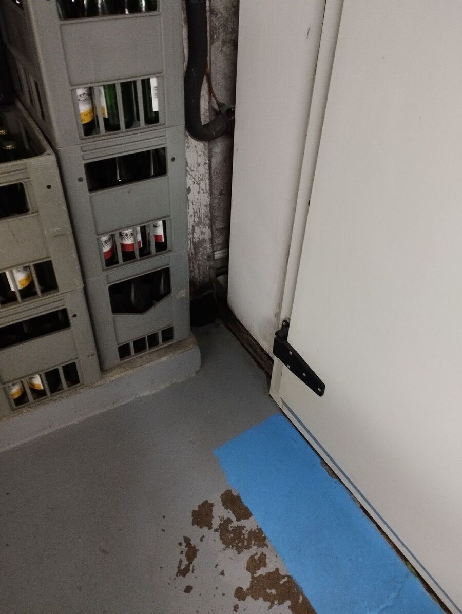 rat-rodent (4443).jpeg