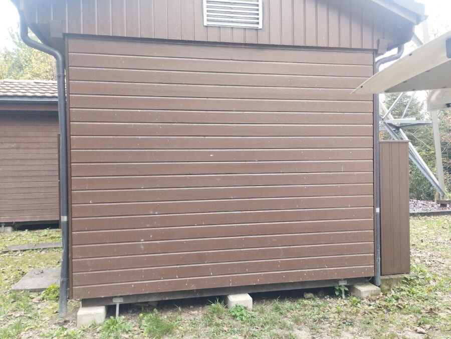 rat-rodent (4450).jpeg