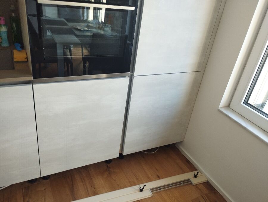 rat-rodent (4456).jpeg