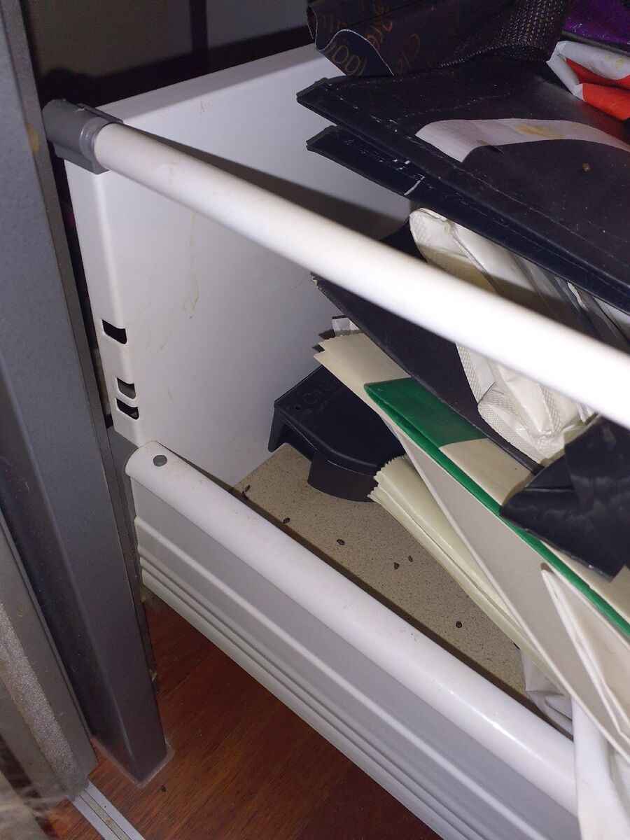 rat-rodent (4458).jpeg