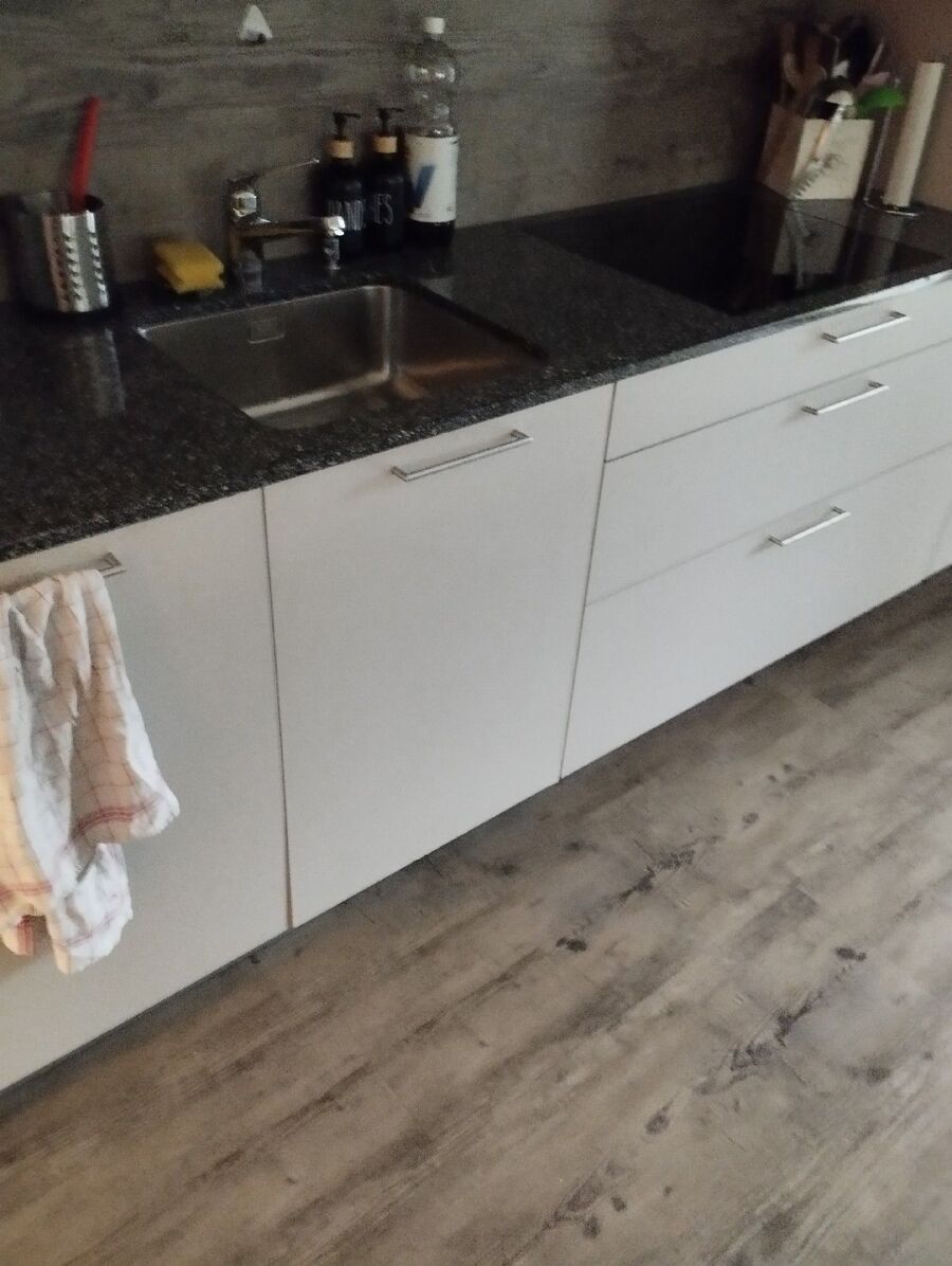 rat-rodent (4463).jpeg