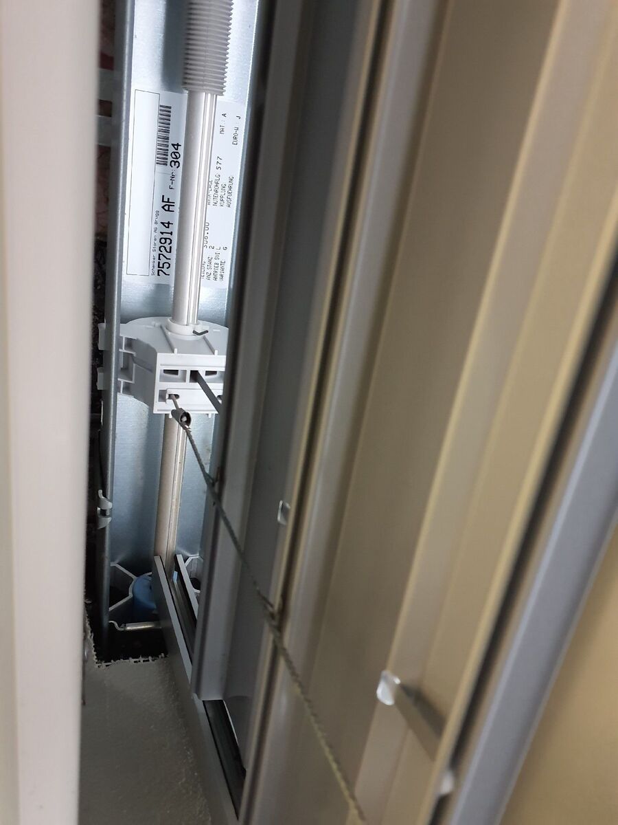 rat-rodent (4464).jpeg