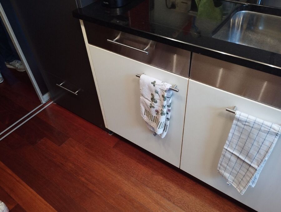 rat-rodent (4467).jpeg