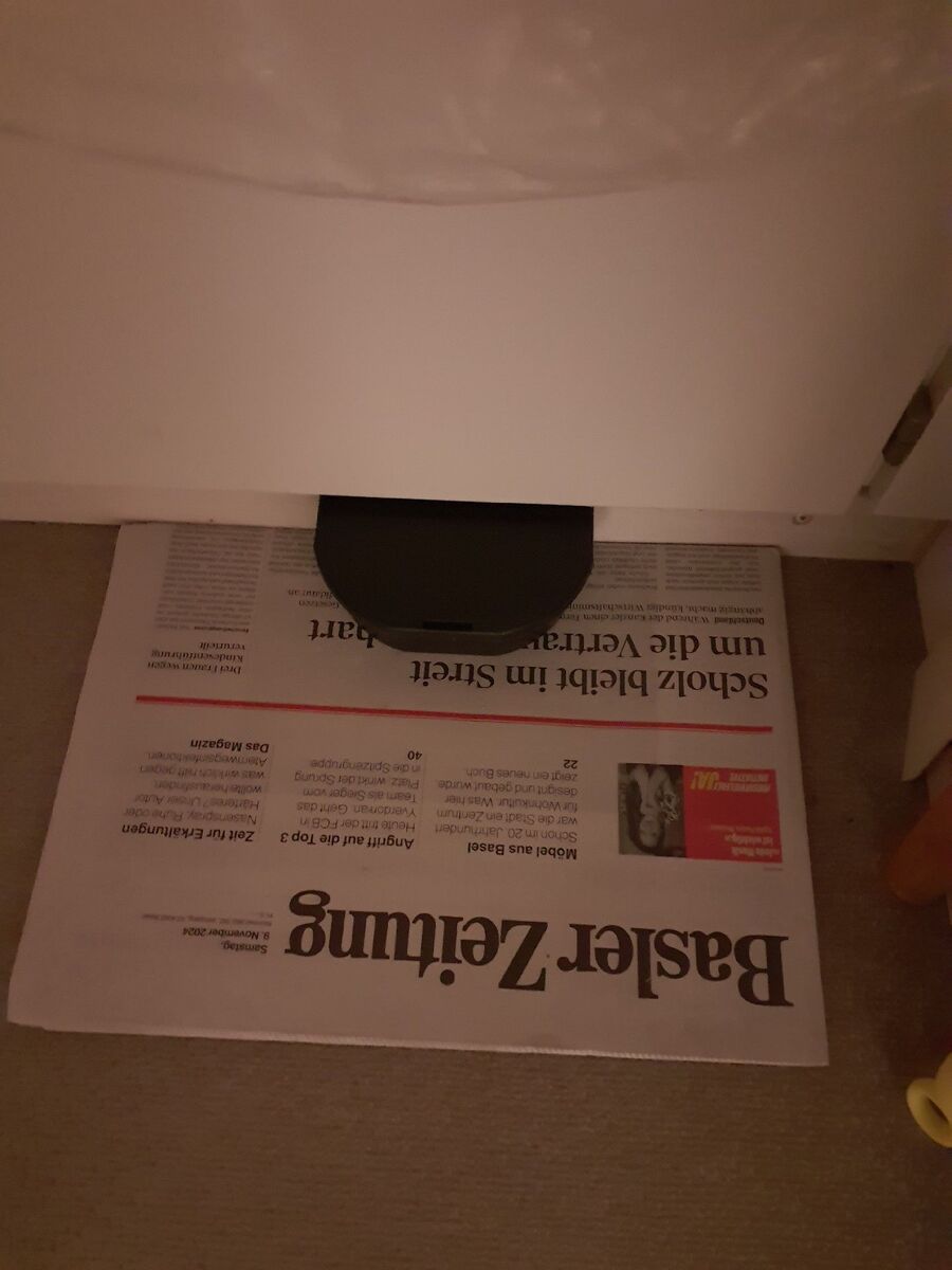 rat-rodent (4474).jpeg