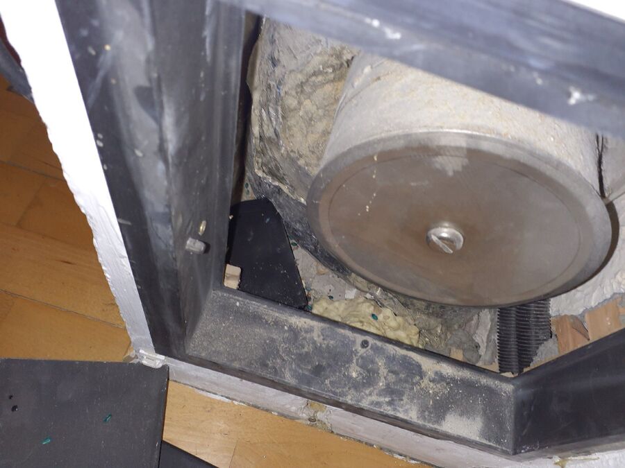 rat-rodent (4479).jpeg