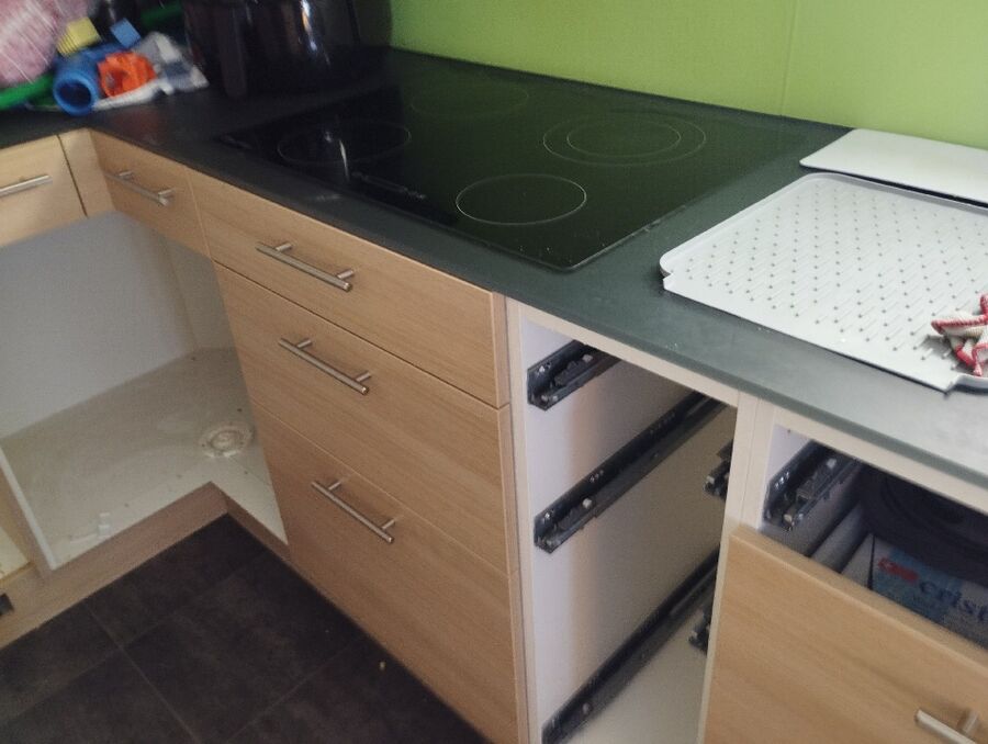 rat-rodent (4484).jpeg