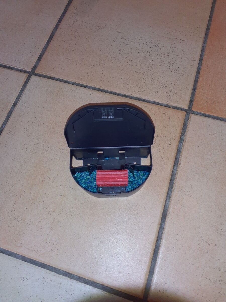 rat-rodent (4501).jpeg