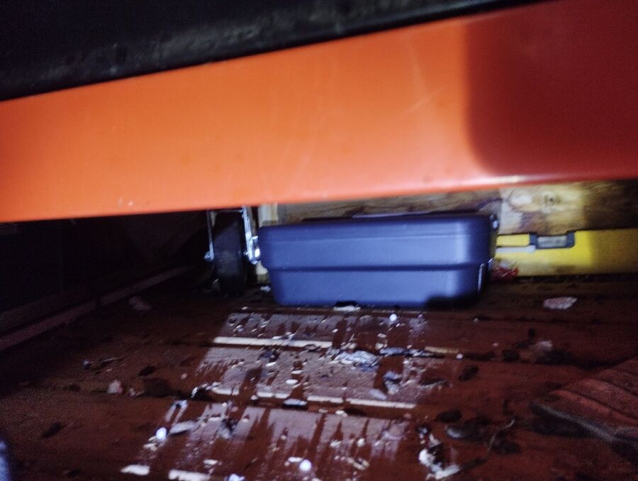 rat-fighting-rat-repelling