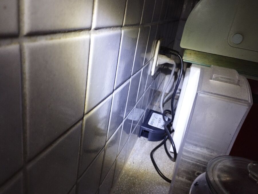 rat-fighting-rat-repelling