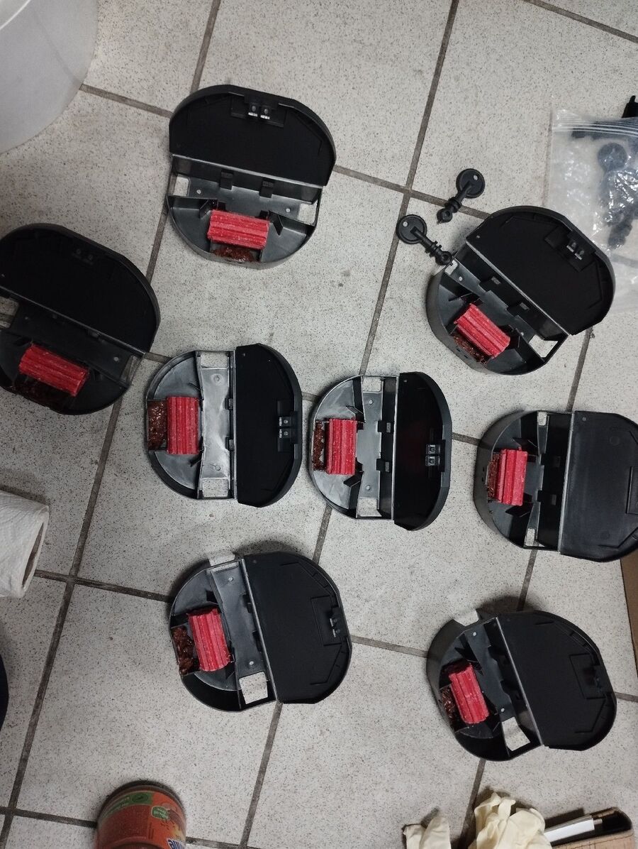 rat-fighting-rat-repelling