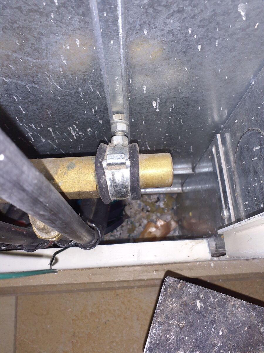 rat-fighting-rat-repelling