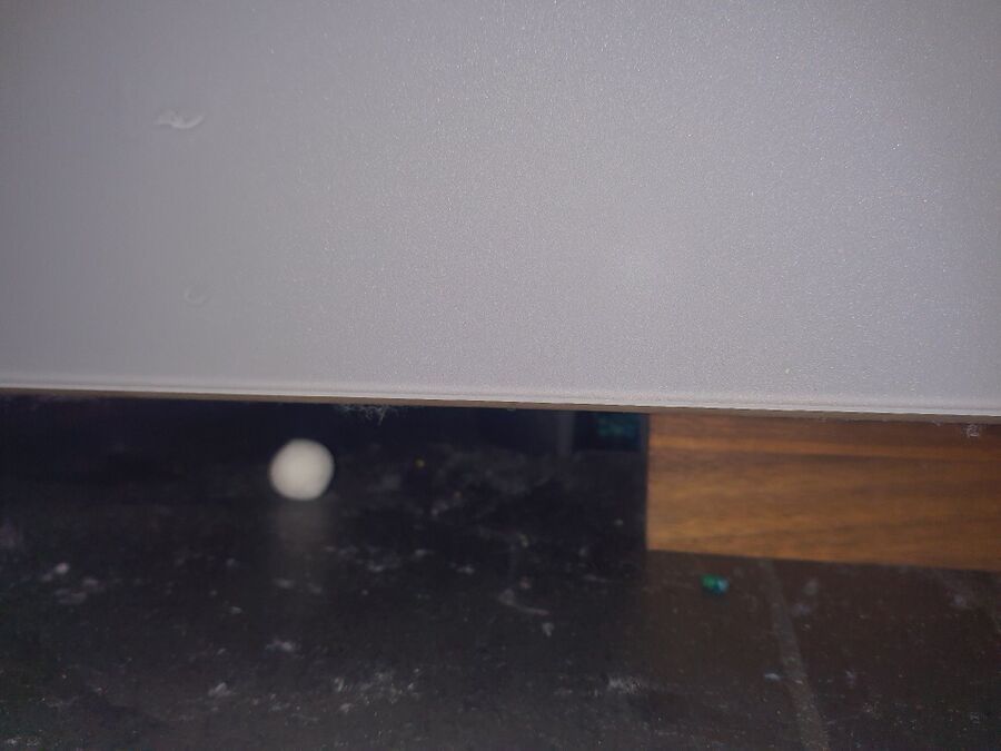 rat-fighting-rat-repelling