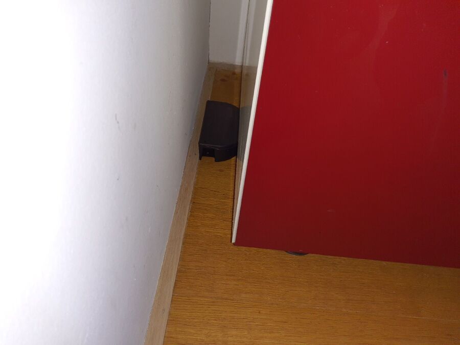 rat-fighting-rat-repelling