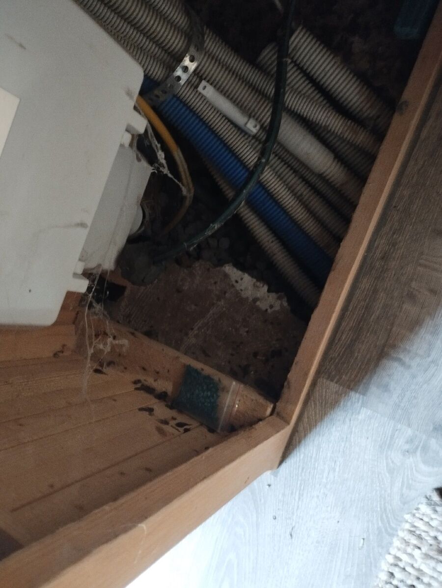 rat-fighting-rat-repelling