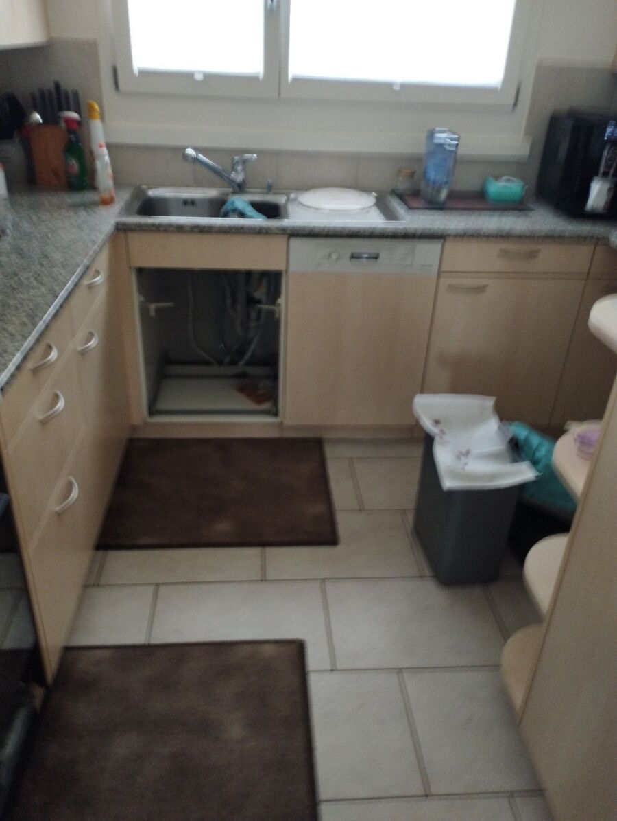 rat-fighting-rat-repelling