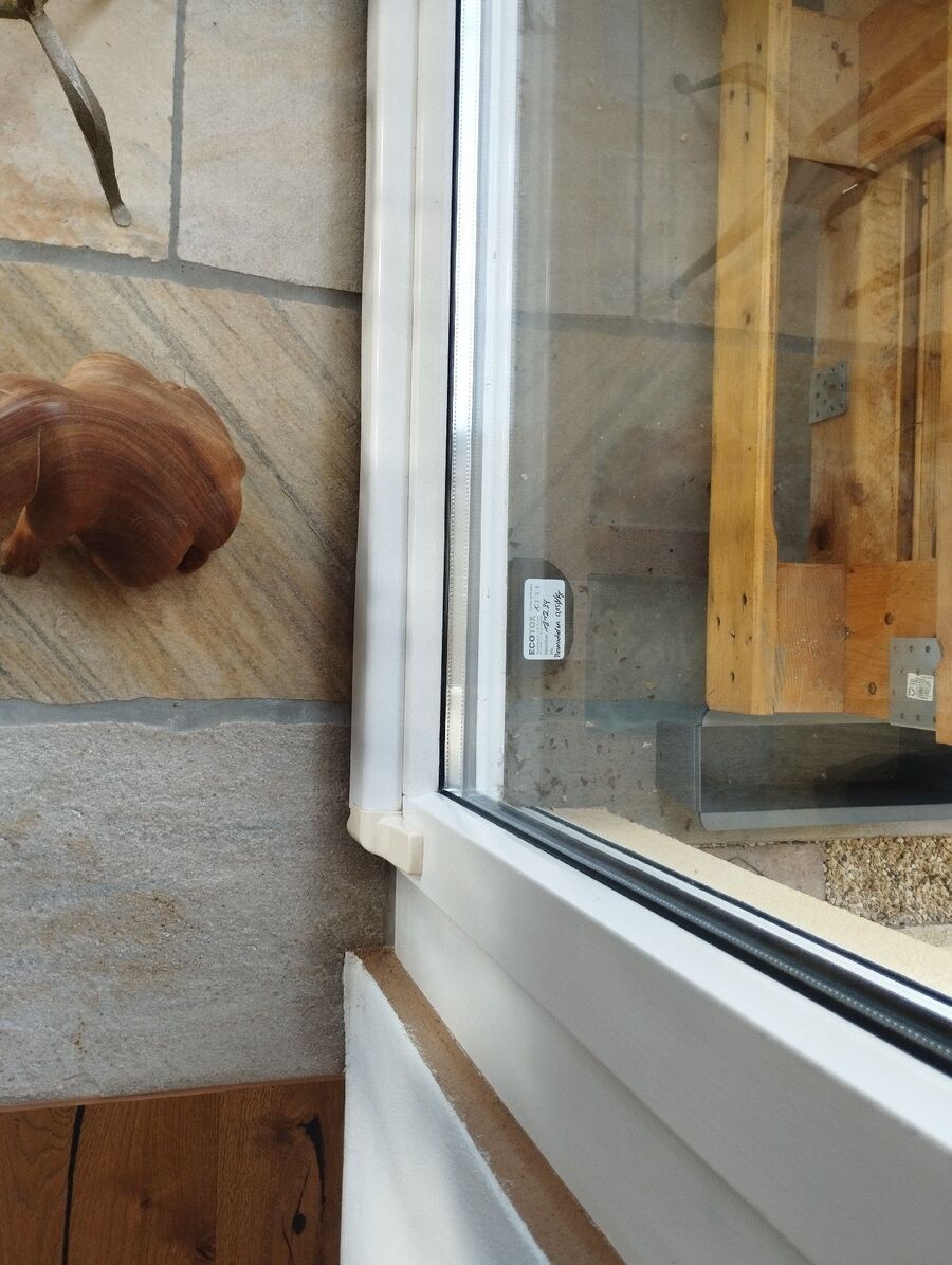 rat-fighting-rat-repelling