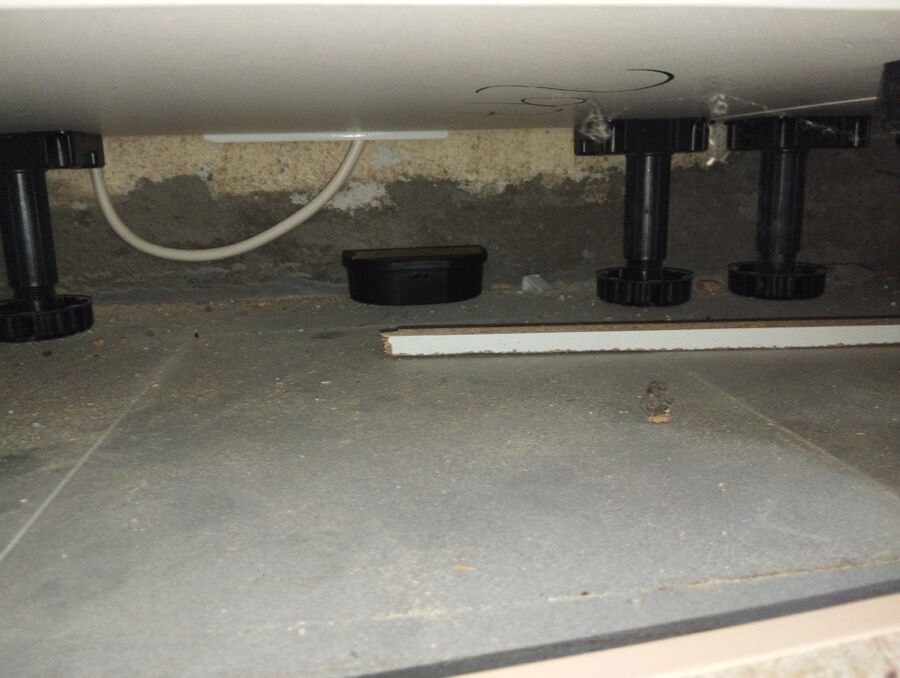 rat-fighting-rat-repelling