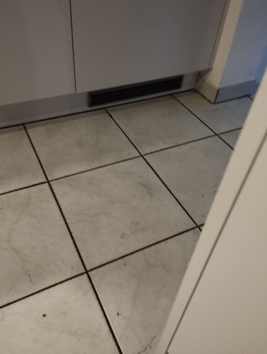 rat-fighting-rat-repelling